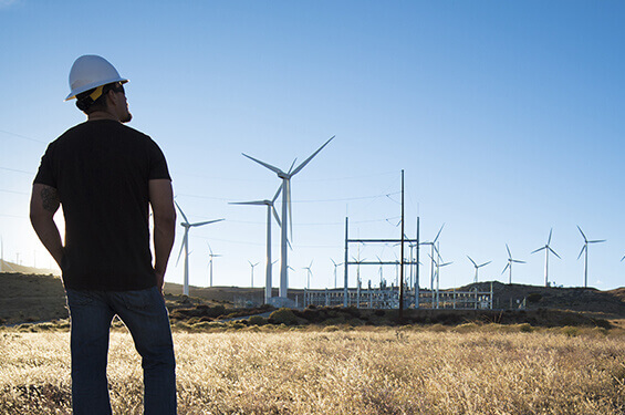 An SCE employee looking across a field of windmills generating electricity