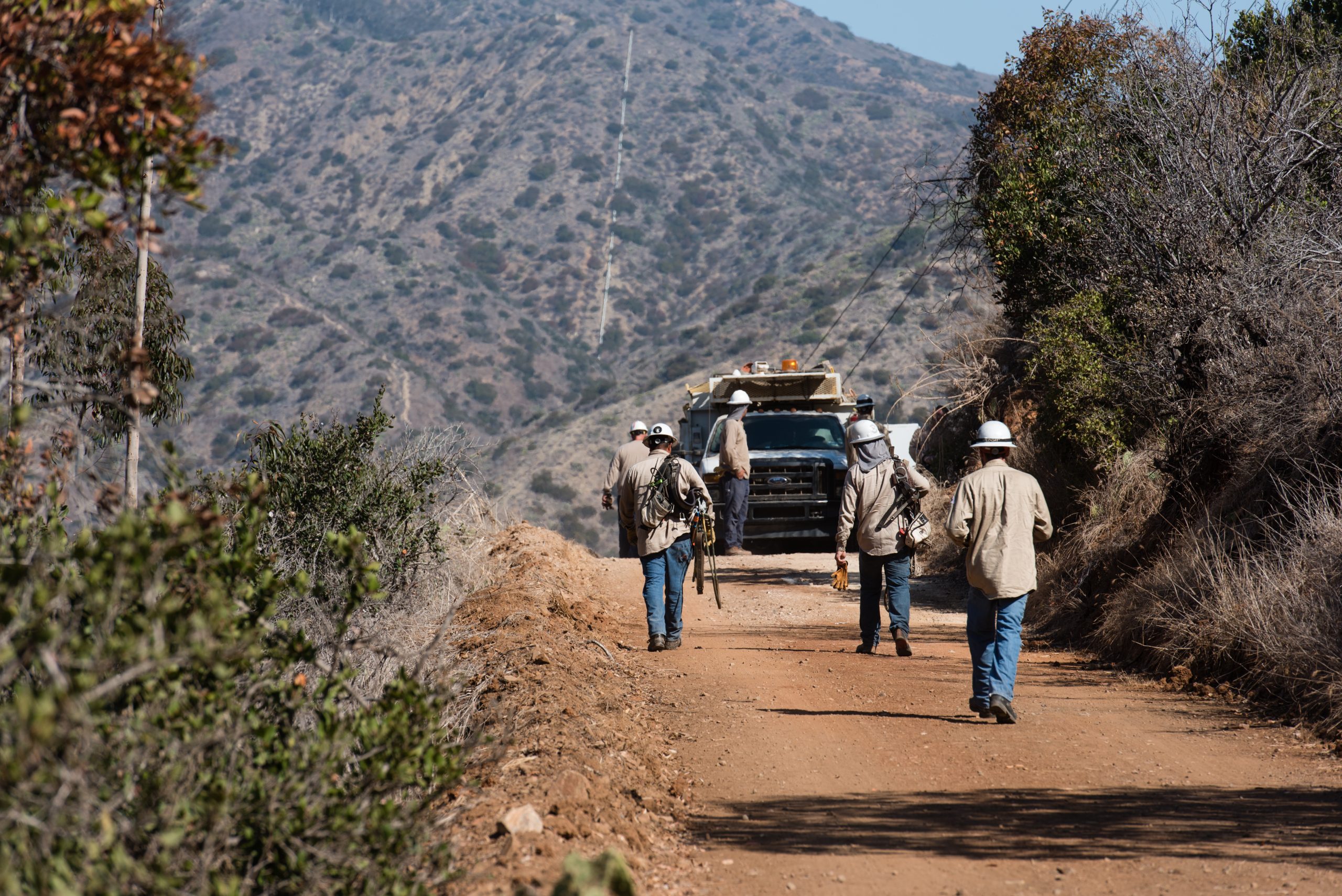 A group of people walking towards a truck
